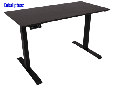 Elektromosan állítható magasságú íróasztal, BASIC, 4 memóriás, USB, FEKETE íróasztal - Eukaliptusz színű, 120x60cm méretű asztallappal