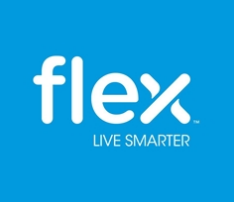 Flextronics projekt